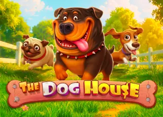 The Dog House ko789